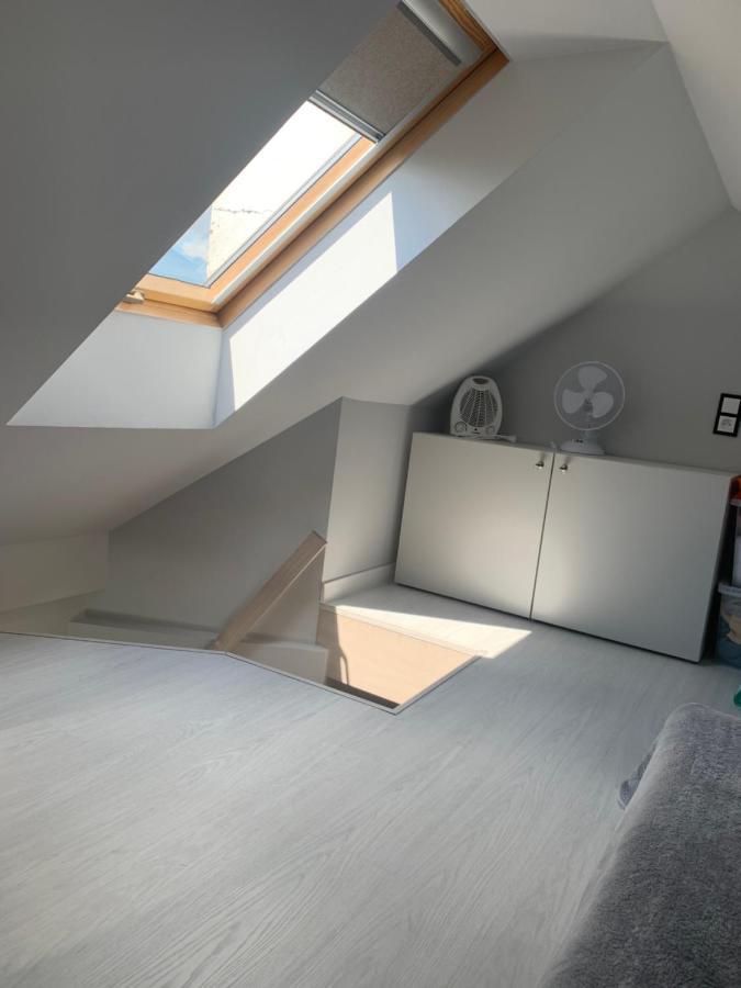 Loft W Centrum Olsztyna, Blisko Starowki 奥尔什丁 外观 照片