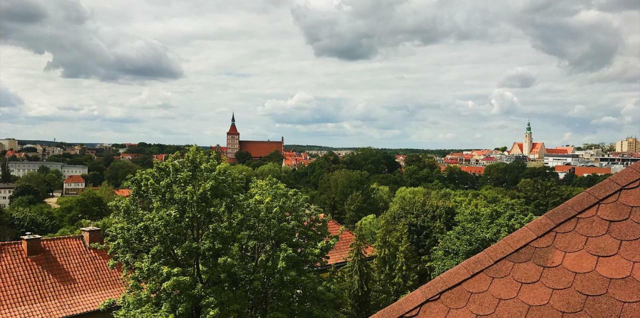 Loft W Centrum Olsztyna, Blisko Starowki 奥尔什丁 外观 照片